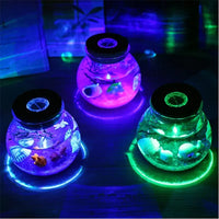 Novelty RGB LED Sea Fish Stone Ocean Bottle Night Lights For Kids