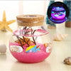 Novelty RGB LED Sea Fish Stone Ocean Bottle Night Lights For Kids