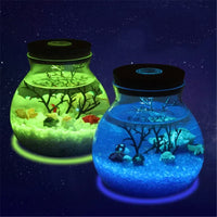 Novelty RGB LED Sea Fish Stone Ocean Bottle Night Lights For Kids