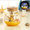 Novelty RGB LED Sea Fish Stone Ocean Bottle Night Lights For Kids